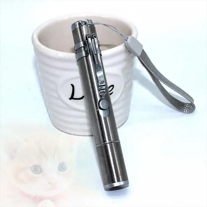 Funny Cat Stick With Rope USB Rechargeable LED Red Light Pointer Pen Children Play Pet Kitten Toy FPing