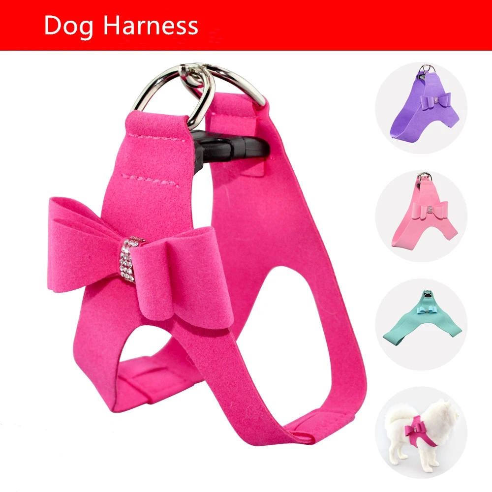 Schnauzer Pet Suppliers Accessories No Pull Dog Harness Small Leash
