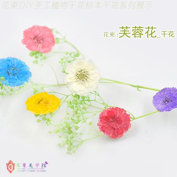 

Flower Invitation Hibiscus Flowers _DIY Pressed Dried Flowers