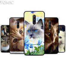 Curious Cat Sneaking Up Silicone Case for Oneplus 7 7Pro 5T 6 6T Black Soft Case for Oneplus 7 7 Pro TPU Phone Cover