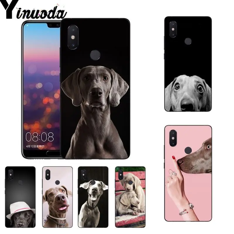 Чехол Yinuoda для телефона с изображением собаки Xiaomi Mi 6 Mix2 Mix2S Note3 8 8SE Redmi 5 5Plus Note4 4X