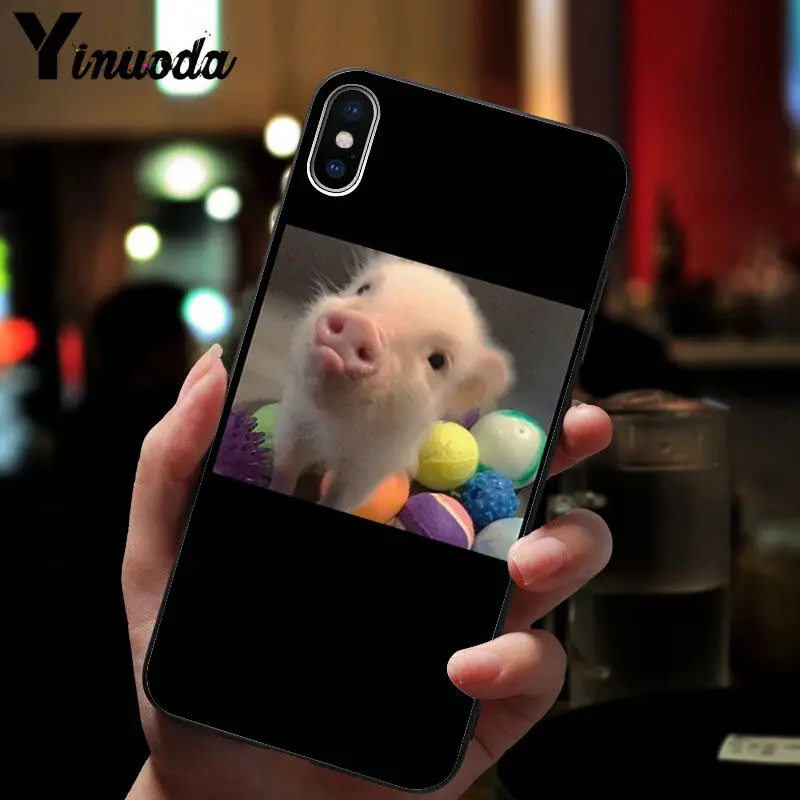 Cute Pig Print 
