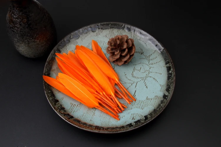 newborn photography feather