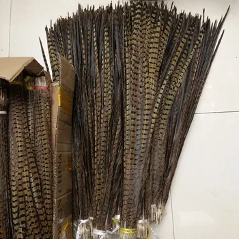 

50 root sell beautiful pheasant feather multicoloured select 28-30 inch / 70-75 cm cm wedding decorate