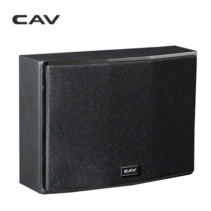 CAV DL 3 настенный динамик с функцией сканирования звука Hi Fi полной частотой