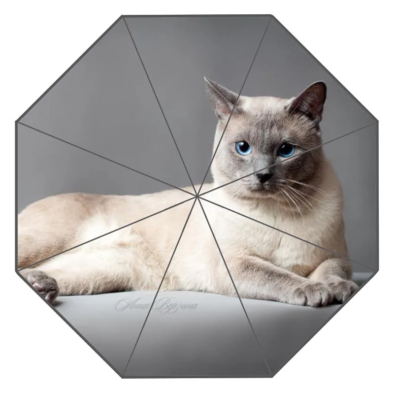 Милый милый зонтик для кошек, солнечный и дождливый дизайн, Портативный Модный стильный полезный зонтик, подарок для вас - Цвет: 12