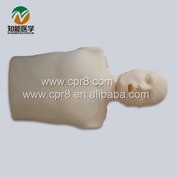 

BIX/CPR100B Half-Body CPR Training Manikin Simulator W059
