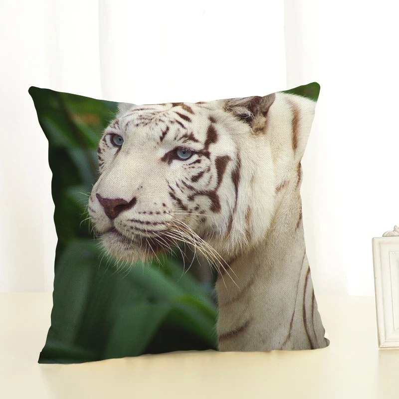 3009 (3)
