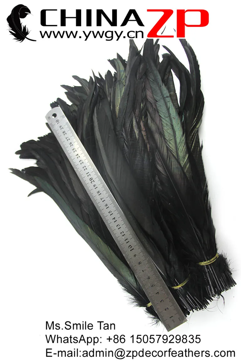 6 Natural Directly Dyed Decoration Rooster Tail Feathers (11)