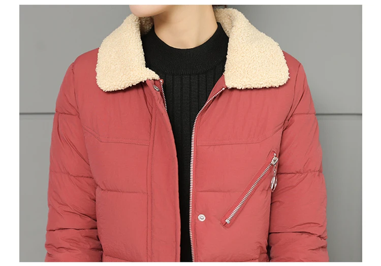 Women Jacket Winter Coats Long Outwear Jackets Cotton Padded Clothing Zipper Warm Winter Jacket 2018 Korean Ladies Coat CH642 (21)