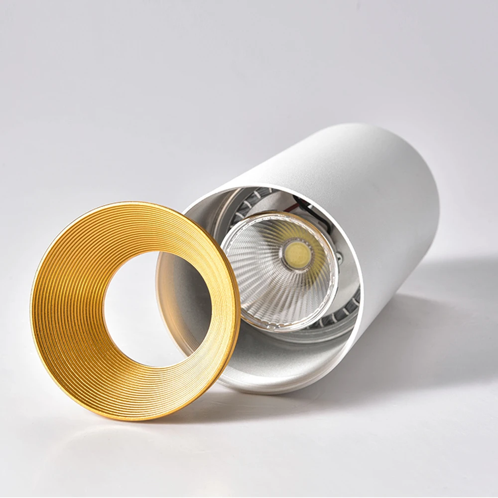 Surface downlights  (8)