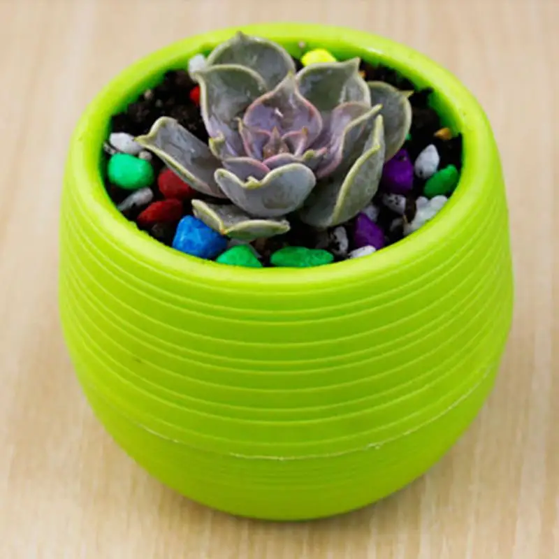 HOT Cute Succulents Fleshy Plants Flowerpot Resin Round Small Mini Home