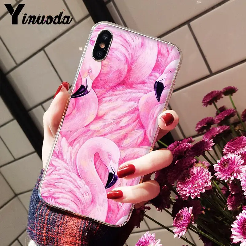 Flamingo Cute Animals Birds