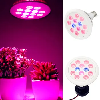 

Grow Lamp 36W E27 Full spectrum Plant Grow Led Light for Indoor Greenhouse Hydroponics Vegetable Flower Plant Grow Lighting