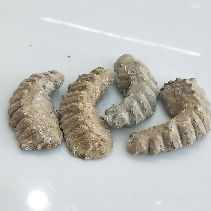 conew_img20190407171622