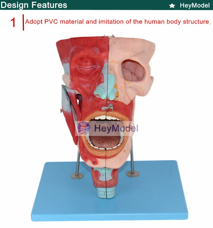 1.PVC_