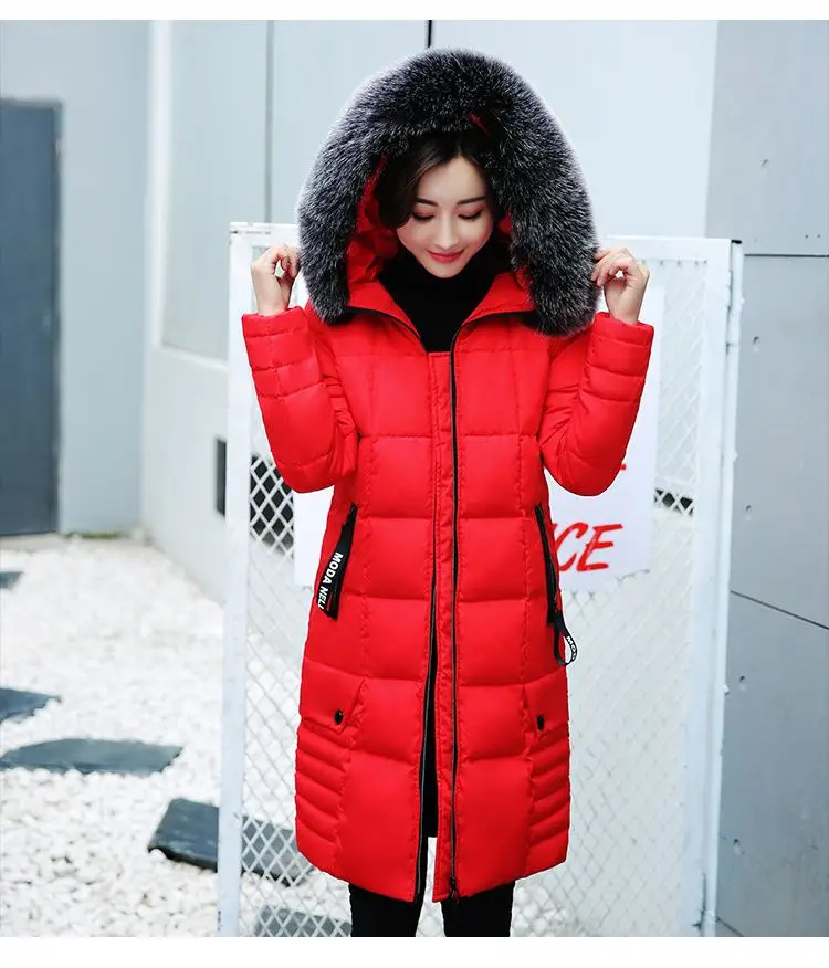 Winter Jacket Women Women's Parkas Long Coat Parka Women 2018 With Artificial Fur Collar Hooded Cotton Coats And Jackets LZ970 (15)