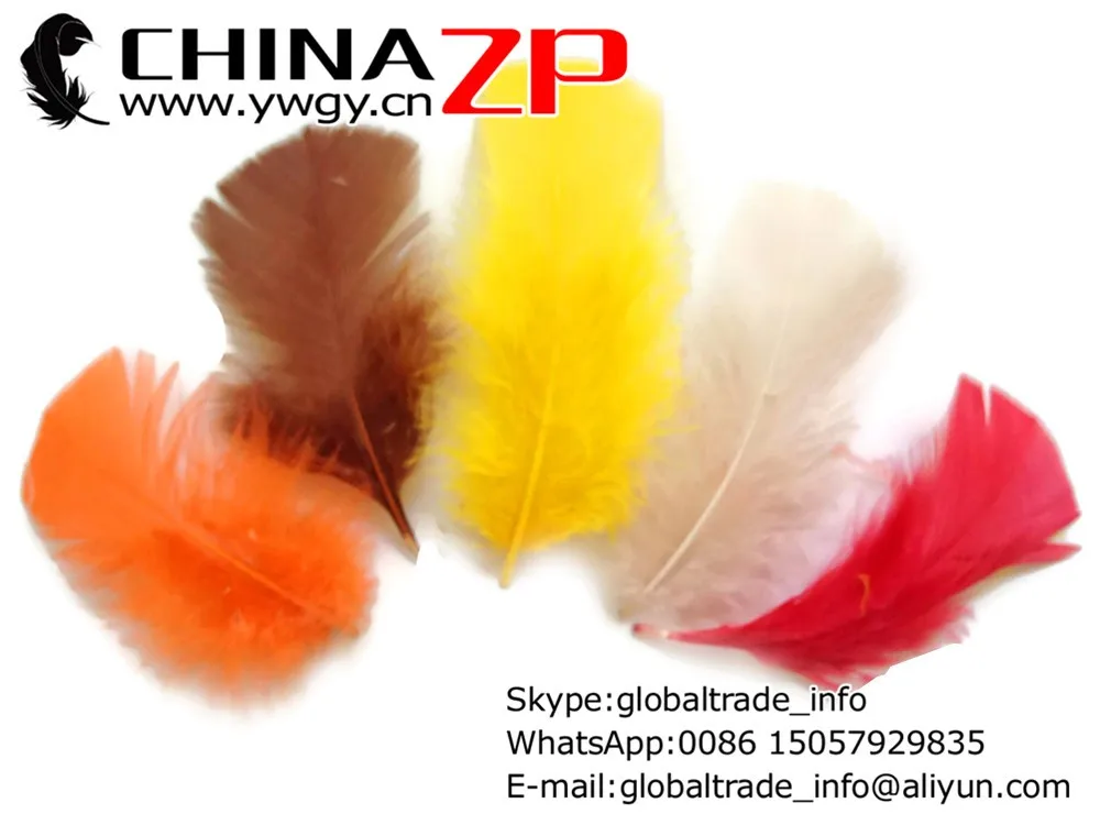 Turkey Feathers, 1 4 lbs - FALL MIX Turkey T-Base Plumage Wholesale Feathers (bulk)