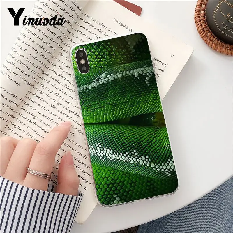 Texture skin snake