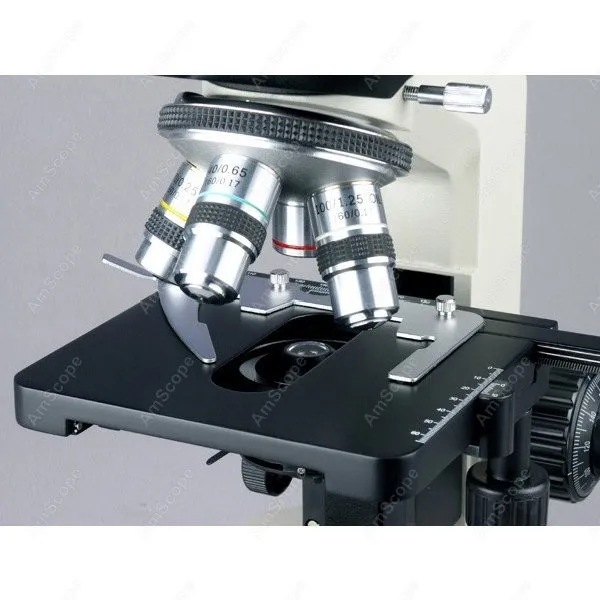 AmScope 생물학적 쌍안 복합 현미경 40X-2000X+ 20W 할로겐 + 3D 기계식 스테이지 및 1.3MP USB 2.0 카메라