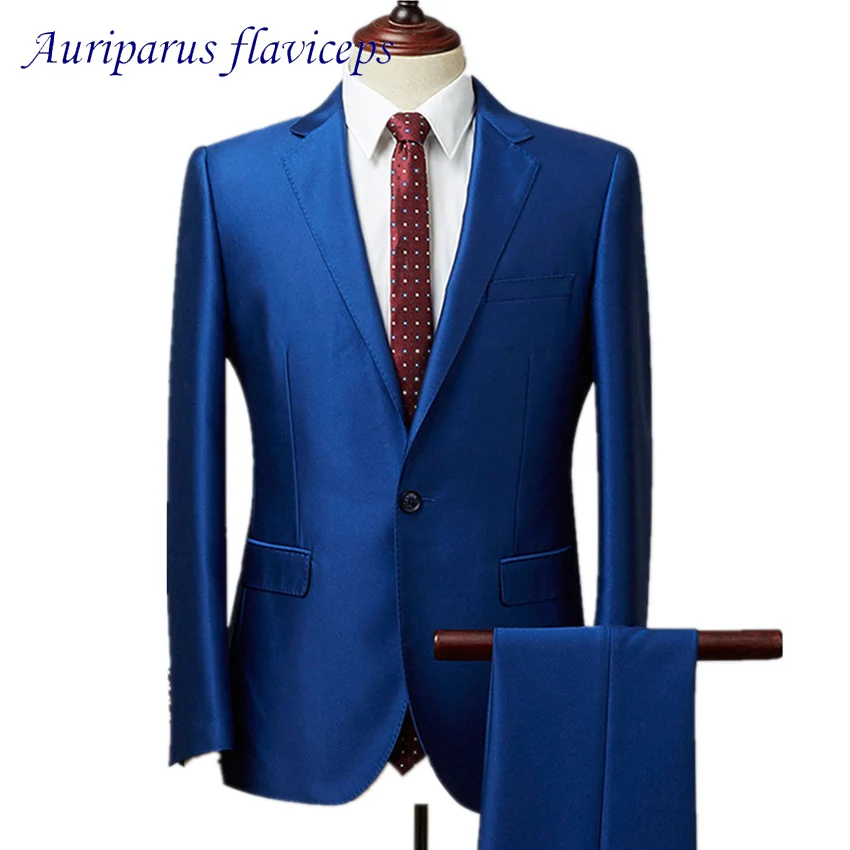 

Auriparus flaviceps Royal Blue Glossy Men Suits Shiny Groom Suits Glossy Tuxedos Jacket and Pant Custom Made Man Suit