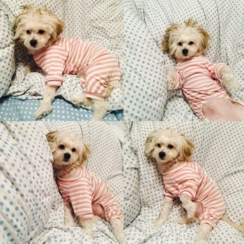 Striped Jumpsuit for Dogs 4