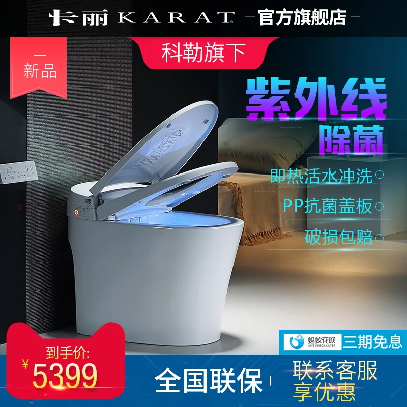 

Household Intelligent Flushing Toilet ElectricToilet