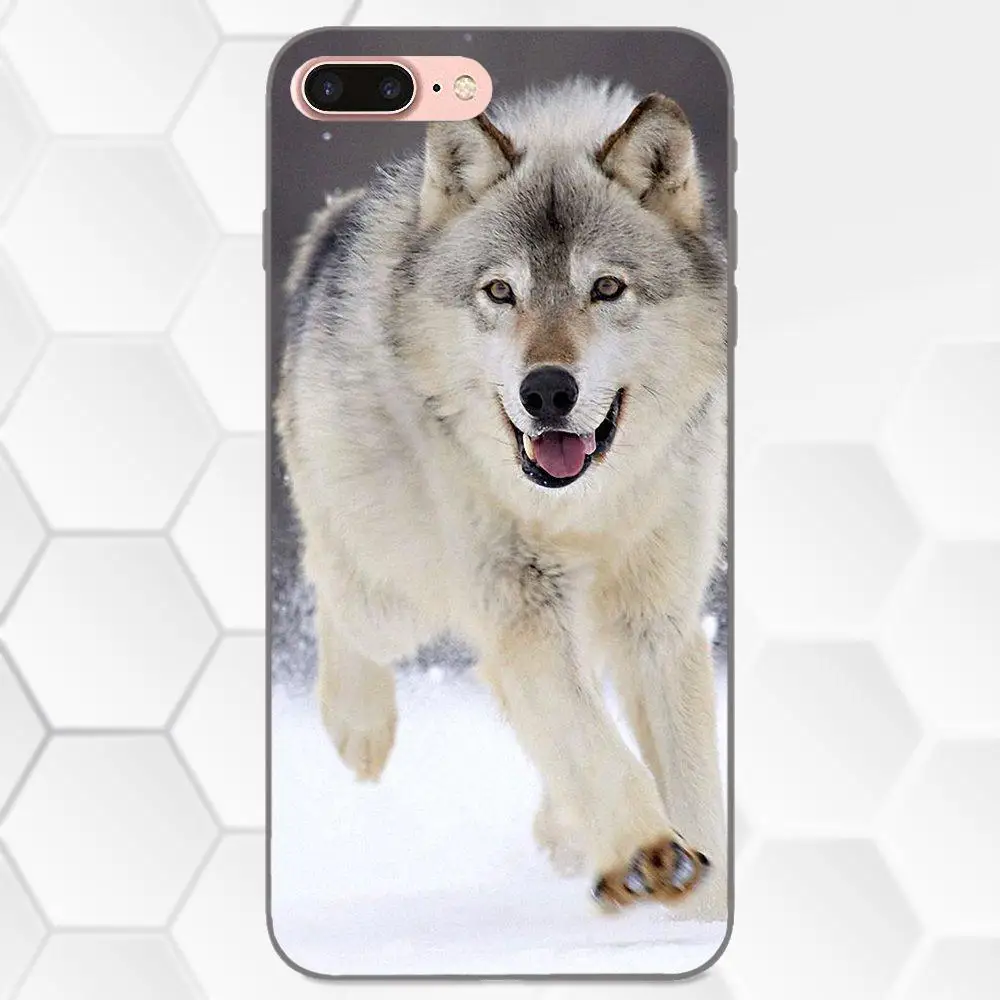 Оболочка Чехол для телефона Apple iPhone 4 4S 5 5S SE 6 6S 7 8 Plus X XS Max XR Wolf Running|Бамперы| |