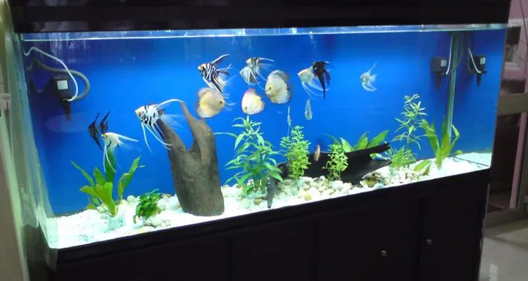 JCBritw-LED-Aquarium-Grow-Lights-12