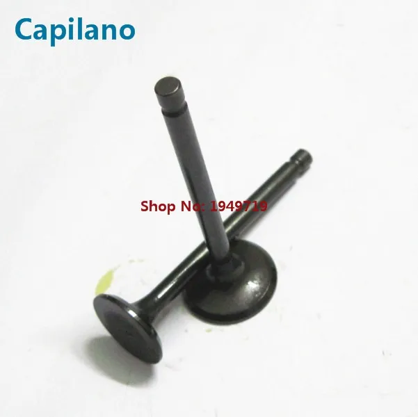 JOG100 engine valve (1)