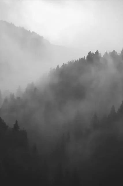 Mountain mist