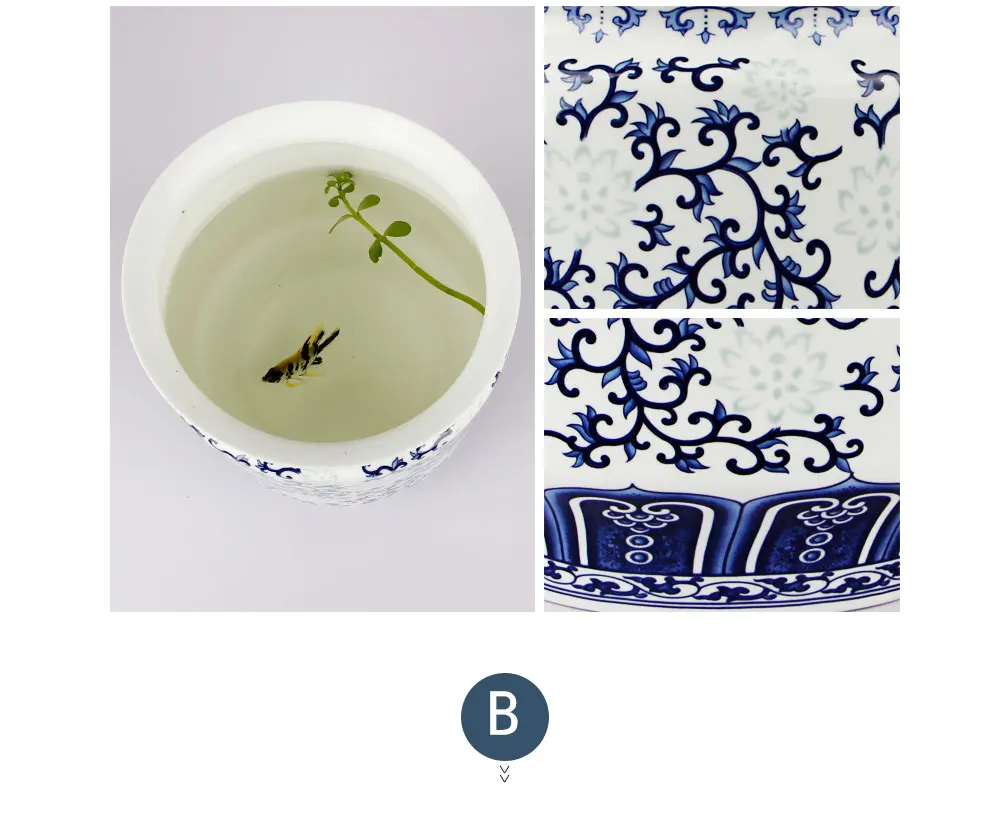 AQUÁRIO Azul E Branco Tigela Hidropônico Casa
