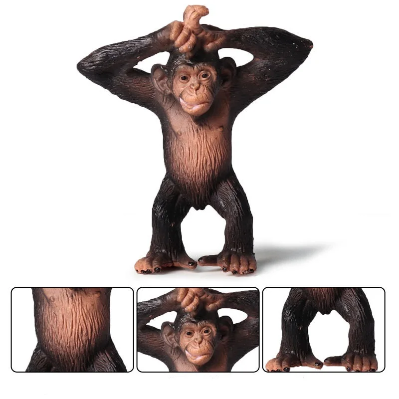 Gorilla (7)