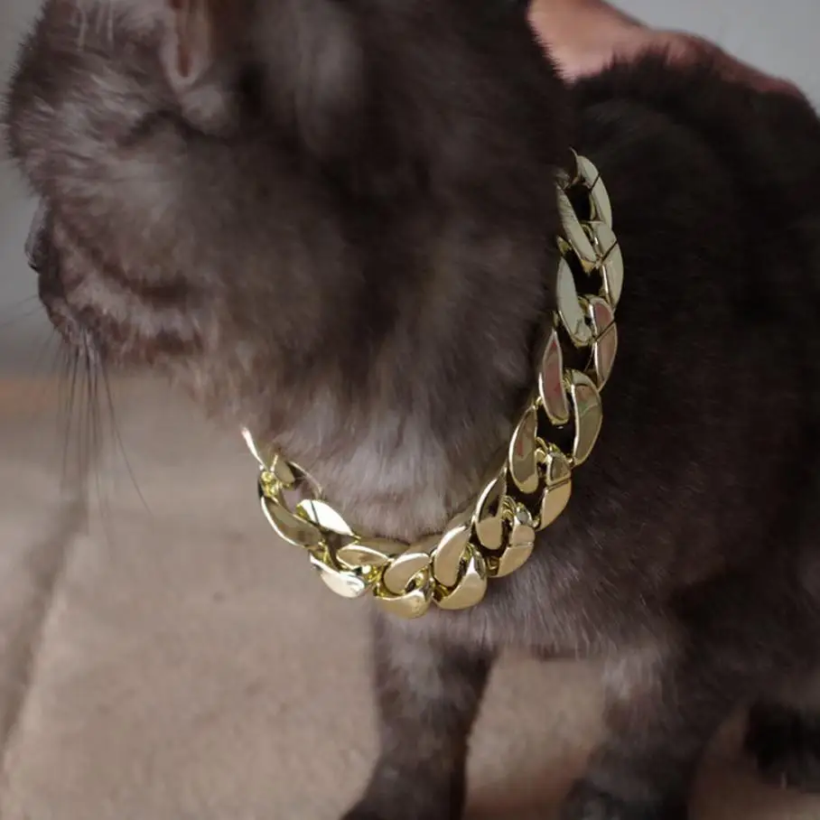 cat chain collar
