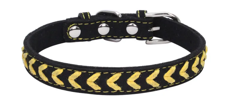 dog collars (11)