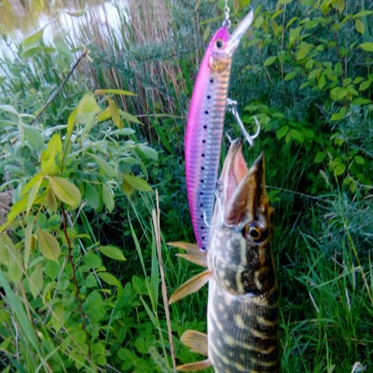 AOCLU Jerkbait wobblers 7 ألوان 13 سنتيمتر 20.0g الصلب الطعم أسماك طعوم صيد معقوفة باس الطازجة مياه مالحة 4 # VMC السنانير