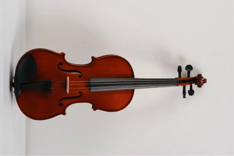 Solid Wood Student Mini Violin