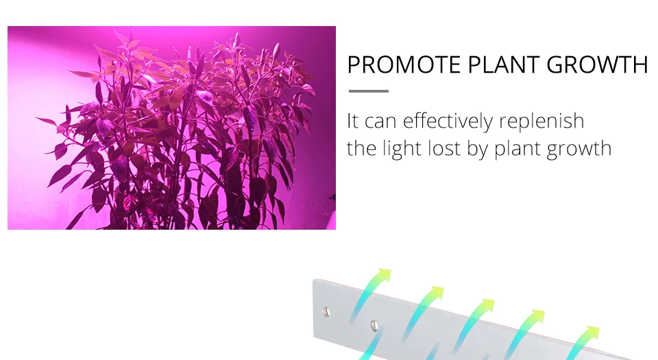 LED GROWTH LAMP (5)