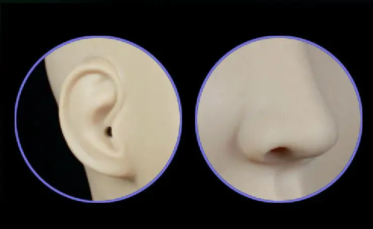 sf-6g