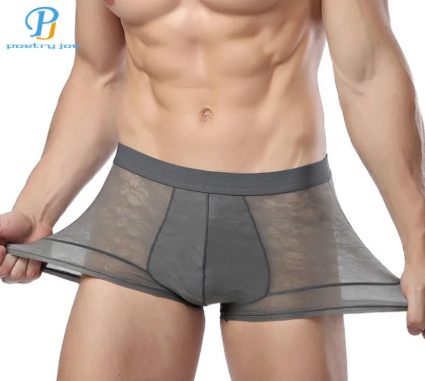 CHENKE365 Men Boxers Underwear Fiber Silk Boxer Spandex spande