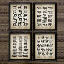 Cartel de animales de granja Vintage Impresión de pollo cerdo oveja y caballo cuadro sobre lienzo para pared Retro Animal imagen decoración del hogar