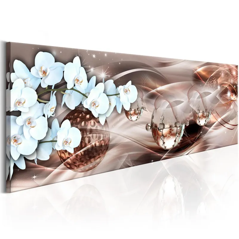 Beautiful Flower Orchids  2