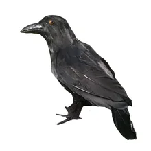 stuffed crow