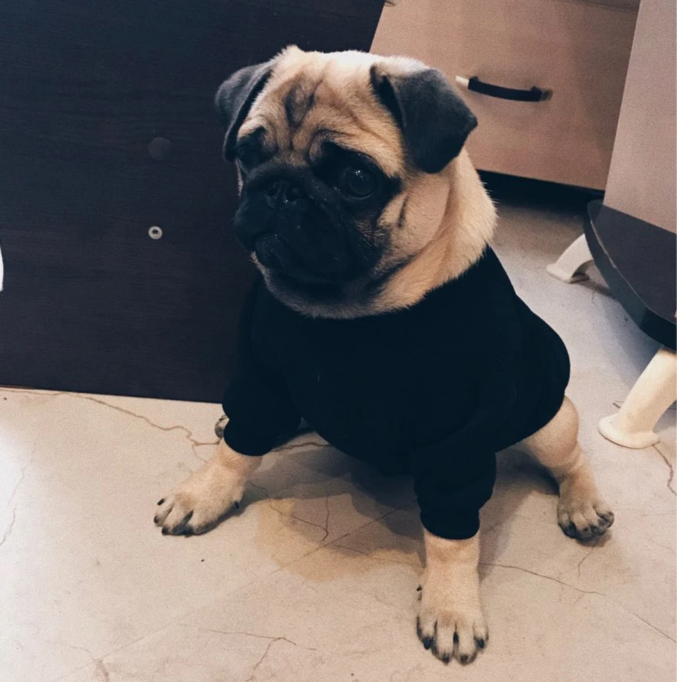 UTB8WNLdjrPJXKJkSafSq6yqUXXaM