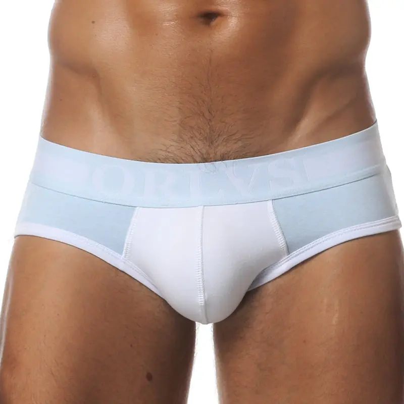 men's fashion underwear and swimwear