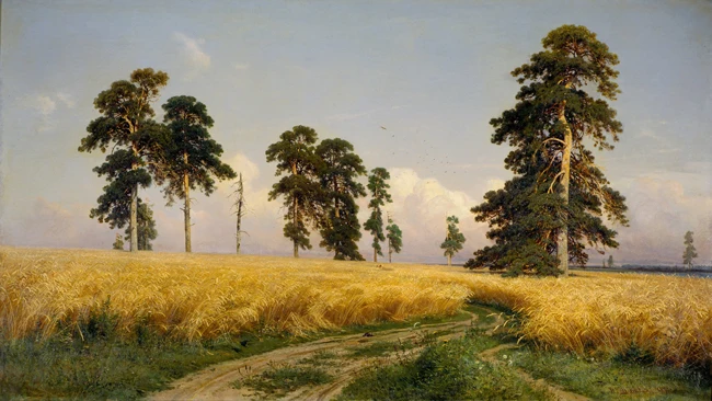 

free shipping Shishkin classical Russian tree catcher landscape oil painting canvas prints on canvas wall art decoration picture