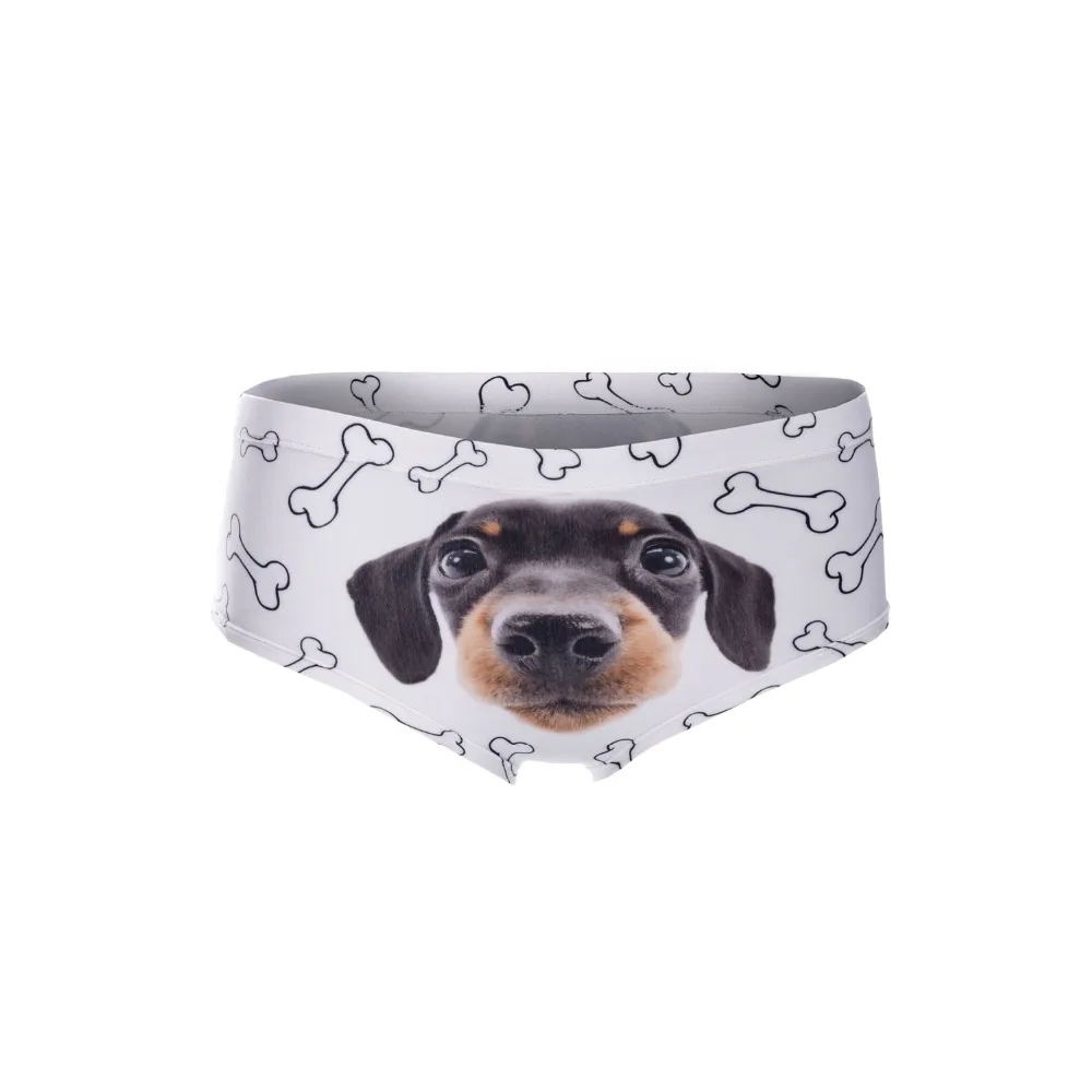 39063 puppy (4)