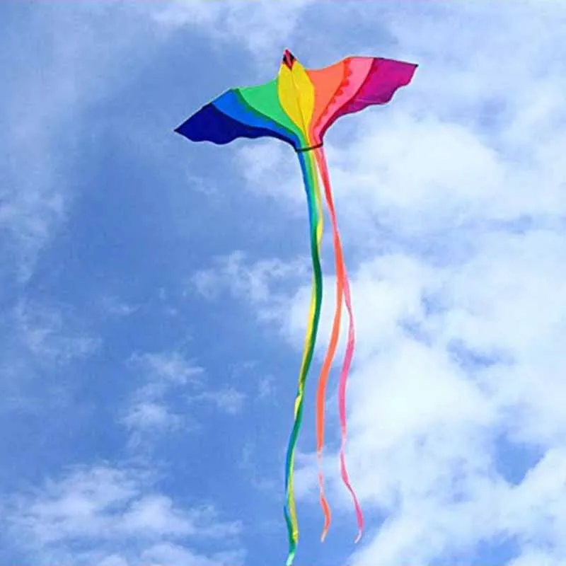 

Phoenix Kite With Long Colorful Tail With Handle Line Outdoor Fun Kids Toy
