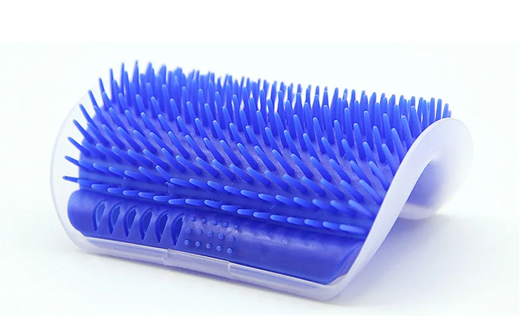 8684782038_1756254533