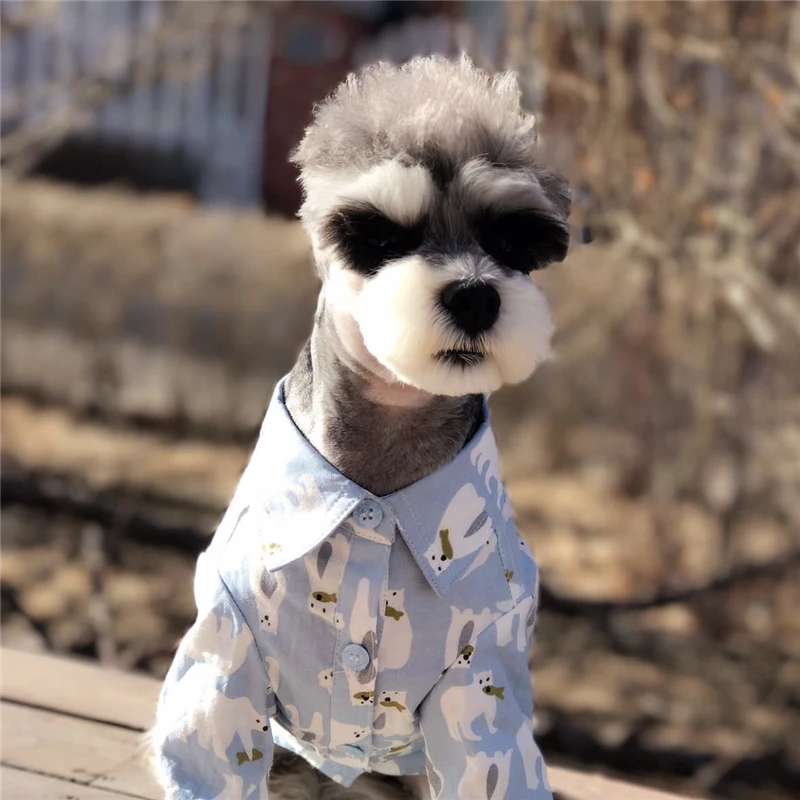 dog summer spring autumn clothes (5)